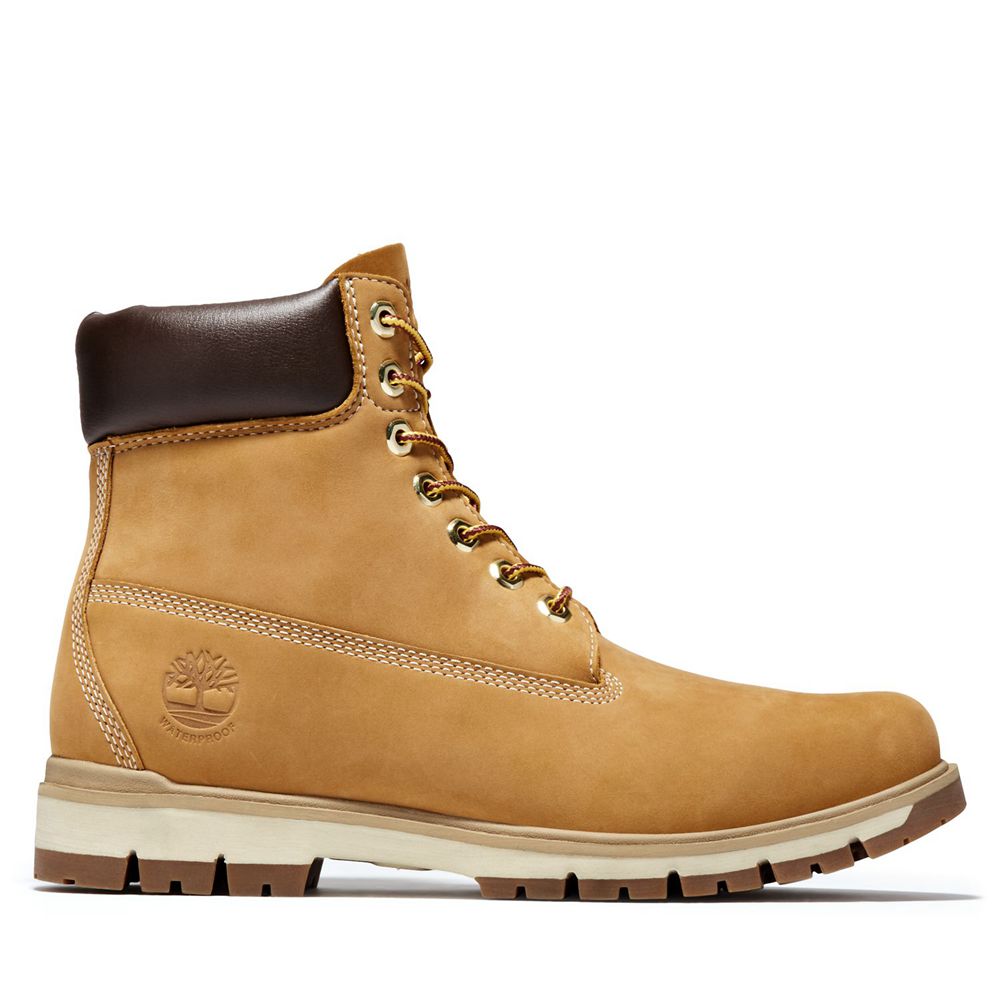 Bocanci 6-Inch Timberland Barbati Maro - Radford Lightweight Waterproof - Romania - PAKTGV068